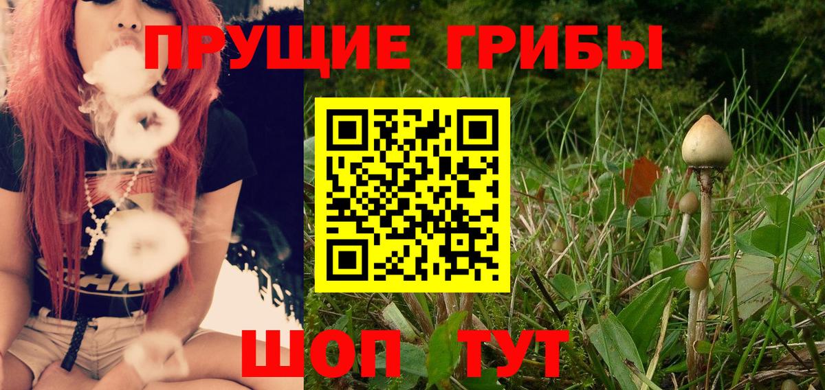 Псилоцибиновые грибы GOLDEN TEACHER Тамбов